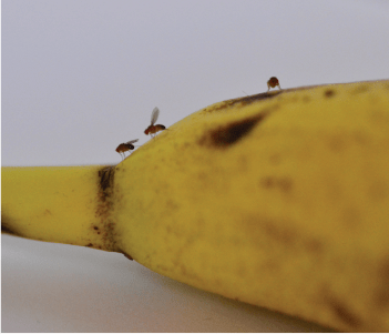 home banner first carousel image