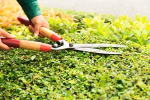 5 spring tips for keeping pests outdoors