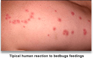 home banner first carousel image