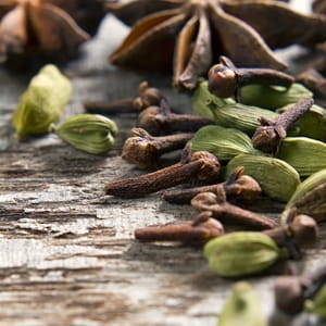 Best natural remedies to keep pests off your boat