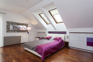 Common Pests In Your Attic