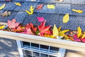 How to get prepared your home for autumn