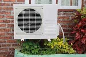 How to get rid of pests in your AC unit