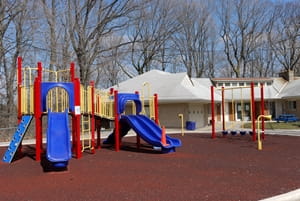 How to keep pests off a wooden playground