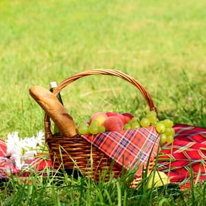 How to keep your picnic bug free