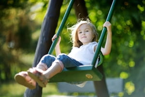 How to prevent carpenter ants on a playground