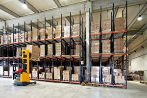 Keep an eye out for these common warehouse pests