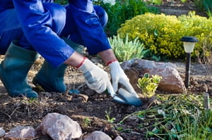 Make pest inspection part of your gardening routine