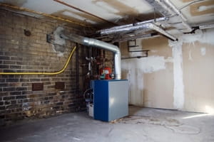 Ongoing basement maintenance helps pest control efforts