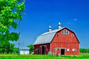 The damp could mean more pests this summer