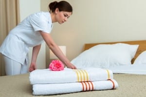 The many pest problems facing the hospitality industry