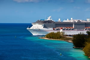 Ways To Avoid Bed Bugs On A Cruise Ship
