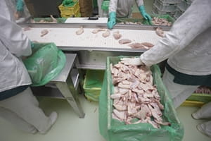 Why sanitation is so important for keeping pests out of food