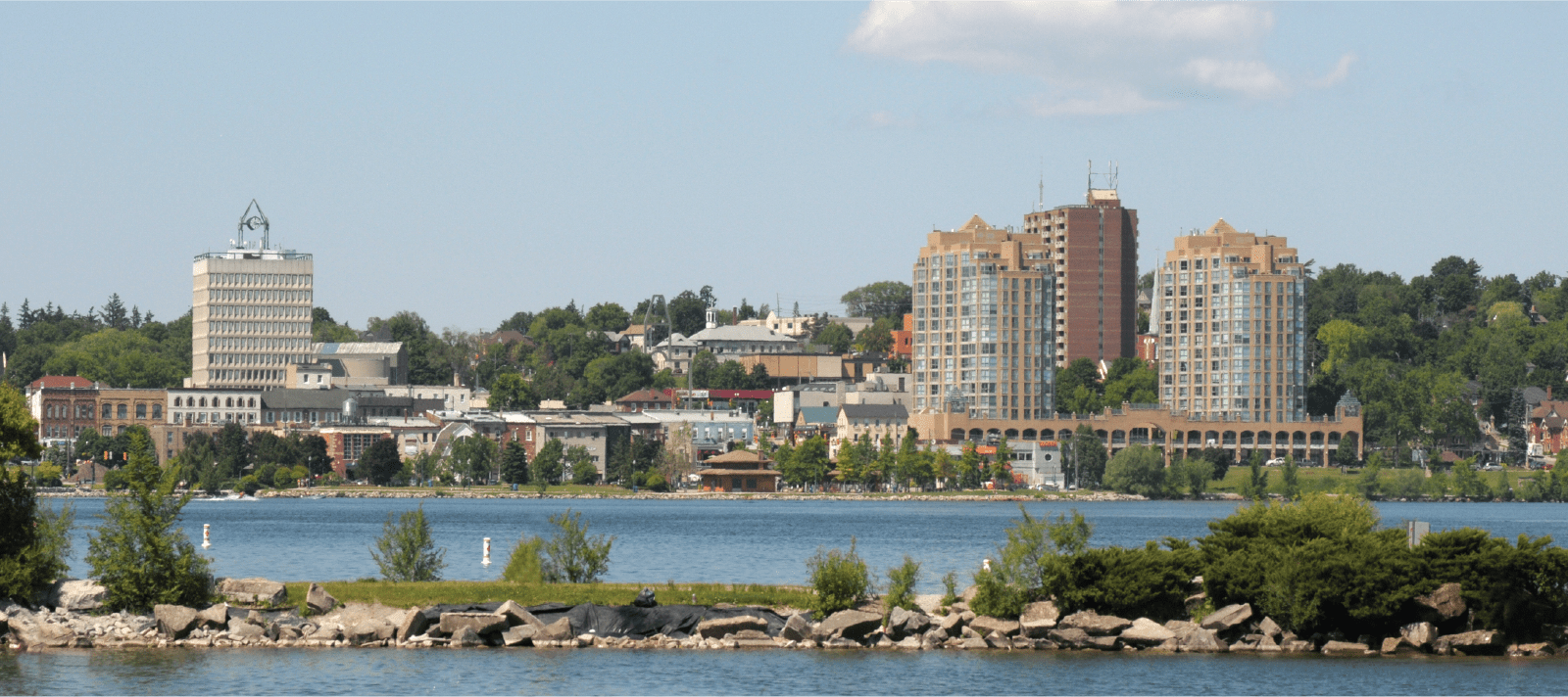 Pest Control Barrie Abell Pest Control