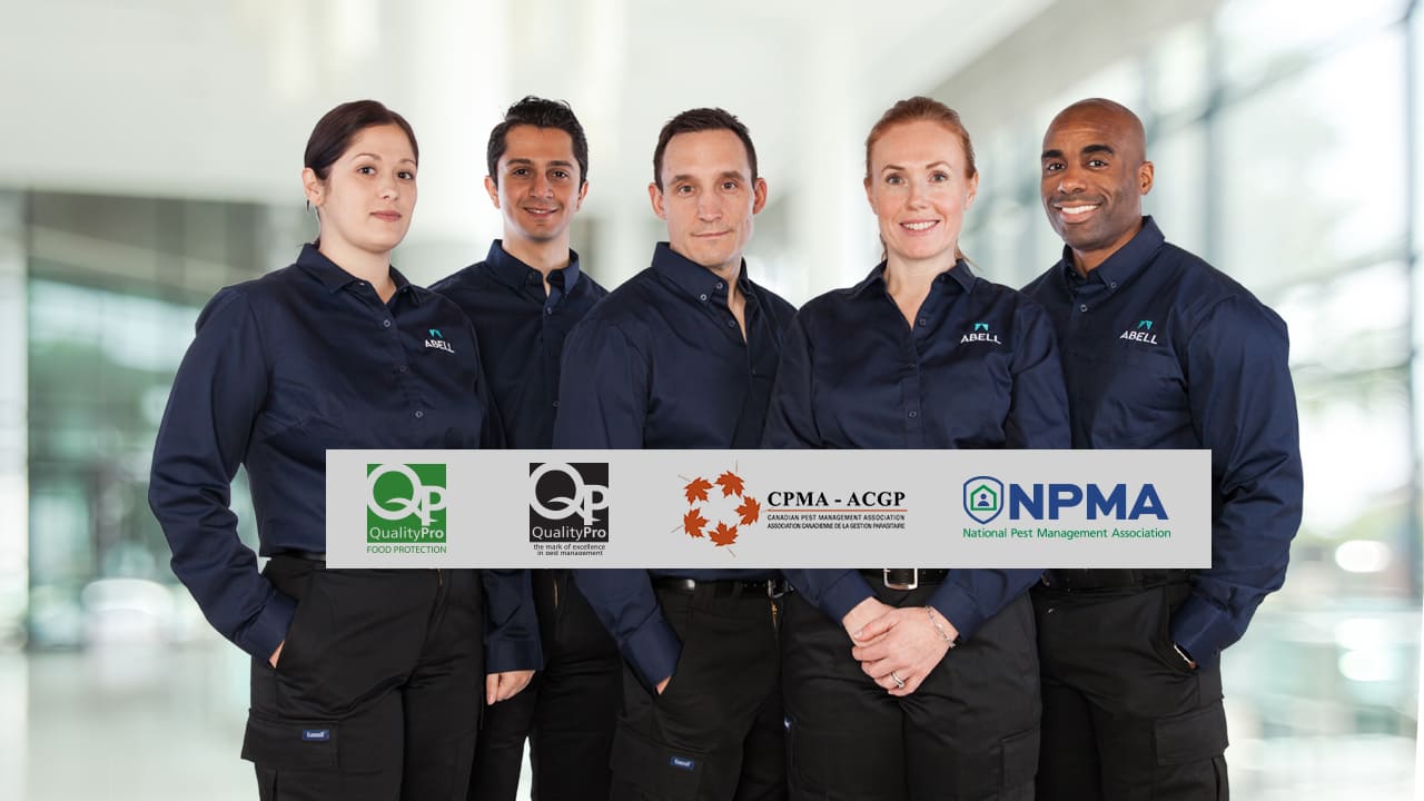 Auditing Services