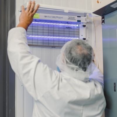 Mantis Large Fly light