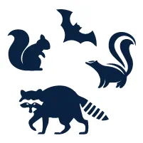 Types of Animals