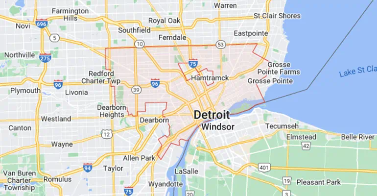 Pest Control Services in Detroit Michigan