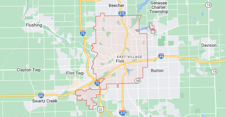 Pest Control Services In Flint Michiagn