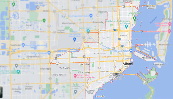 Pest Control Services Miami Florida