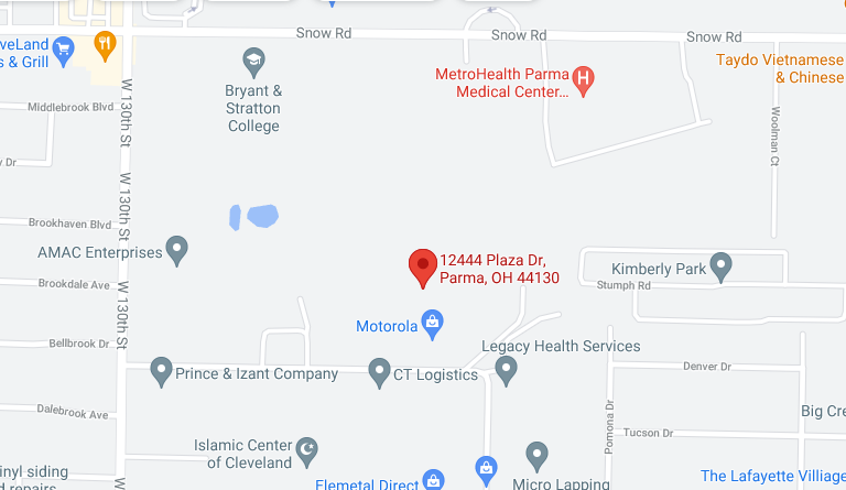 Pest Control Services in Parma Ohio